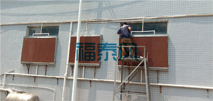 麻豆APP在线免费观看/水簾紙