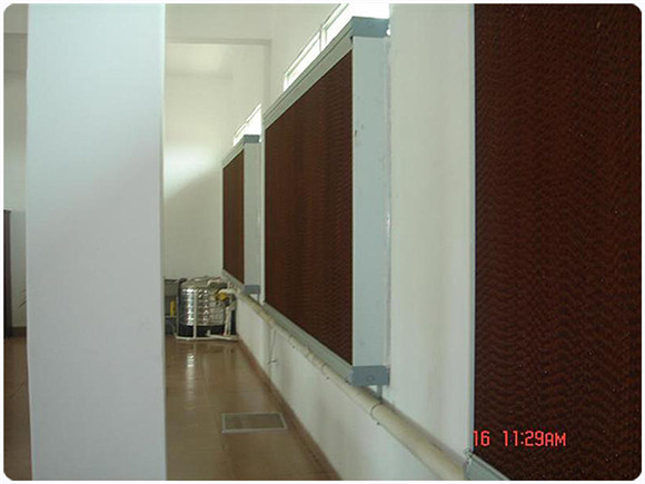 国产精品麻豆视频