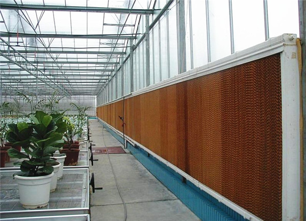 一體式国产精品麻豆视频的結構