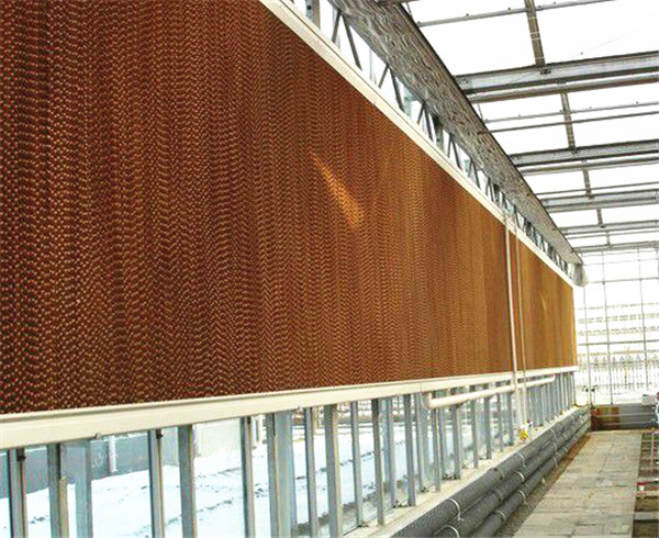 国产精品麻豆视频的工作原理是什麽？