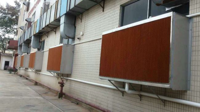 水簾降溫：溫室的清涼守護者